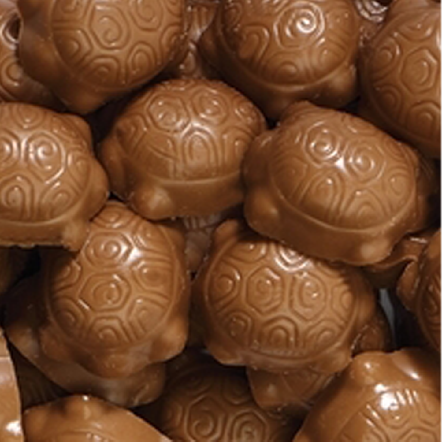 Milk Caramel Turtles - Shaped Pieces - 10 lbs