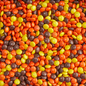 Mini Reese’s® Pieces - 25 lbs